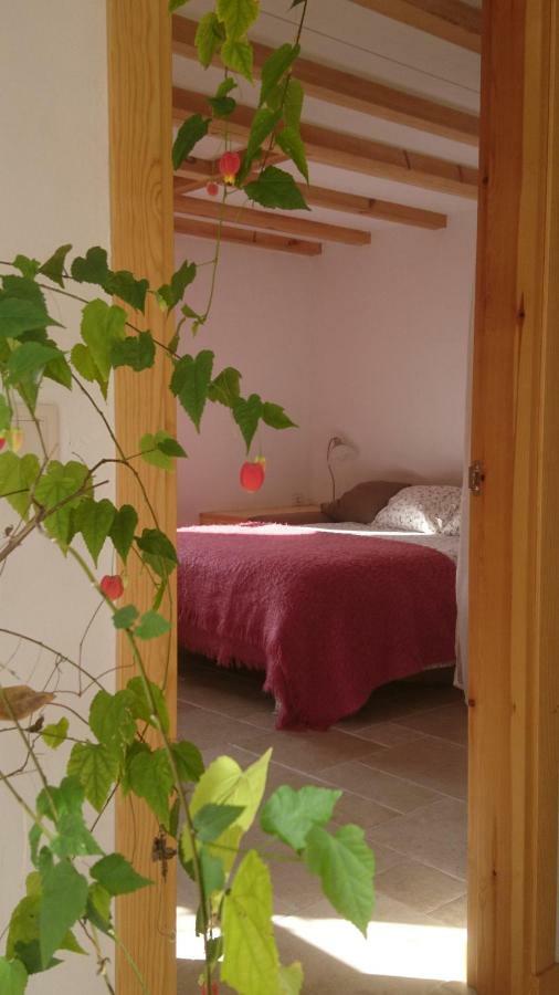 Ferienwohnung Casa Turreta Ansó Exterior foto