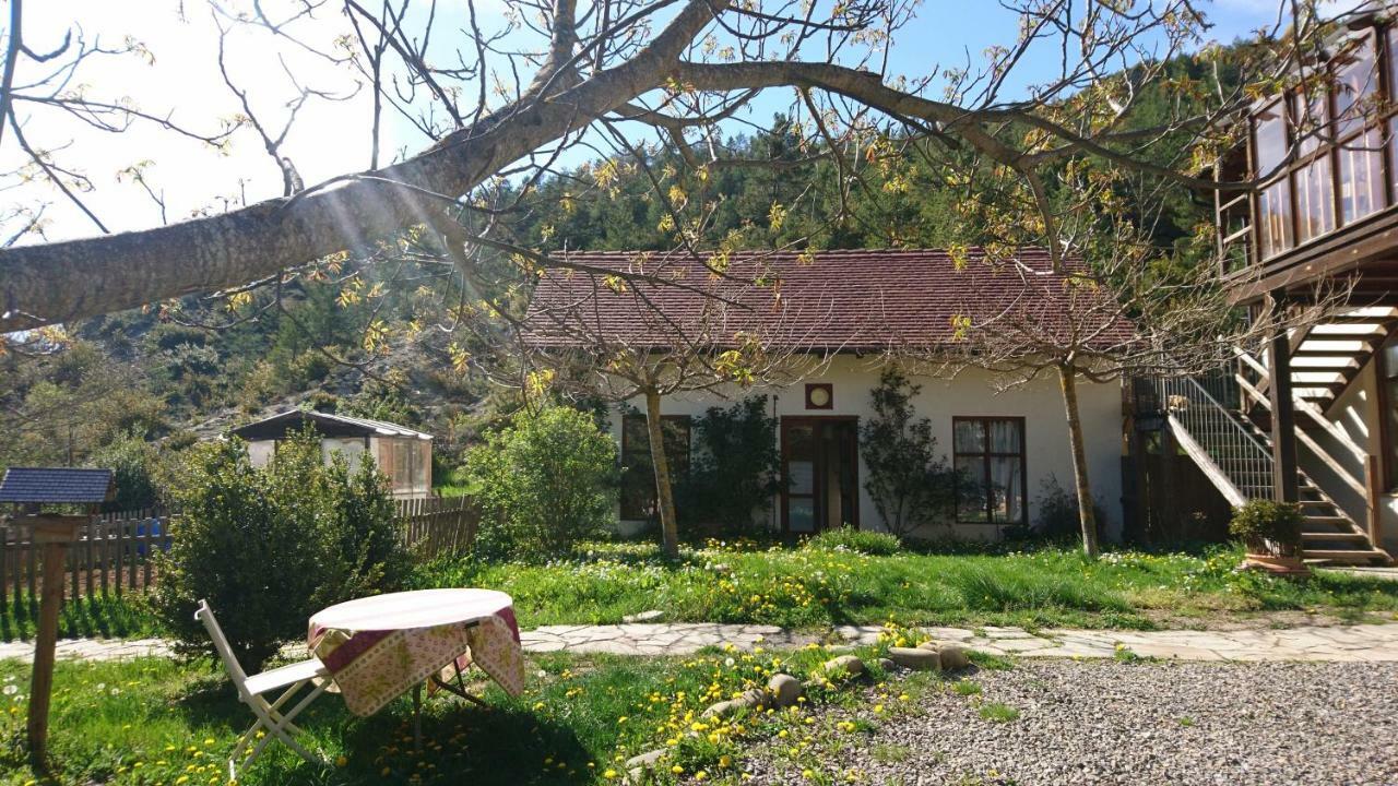 Ferienwohnung Casa Turreta Ansó Exterior foto